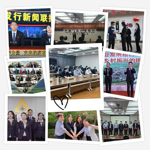 青春風(fēng)采映齊魯 山東分行五四青年文化月活動全面展開